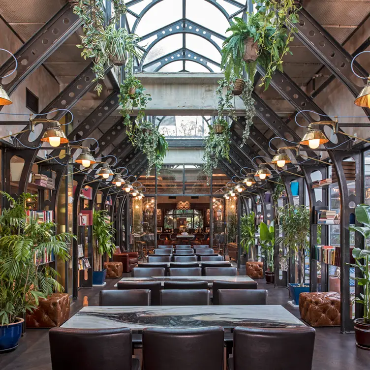 A Quick Guide to Austin Dining, Drinks, and Views